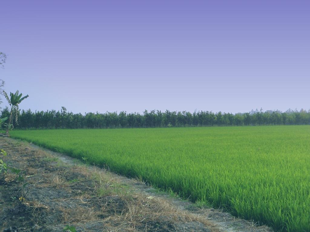 Green Village 1 芹苴 外观 照片