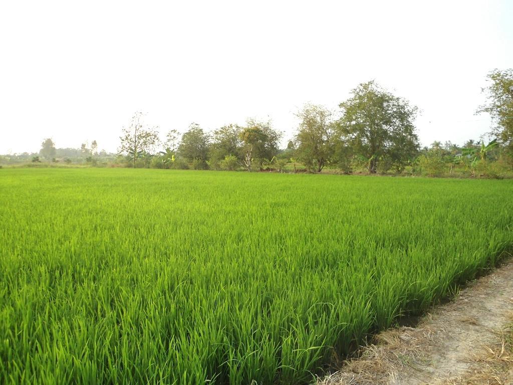 Green Village 1 芹苴 外观 照片