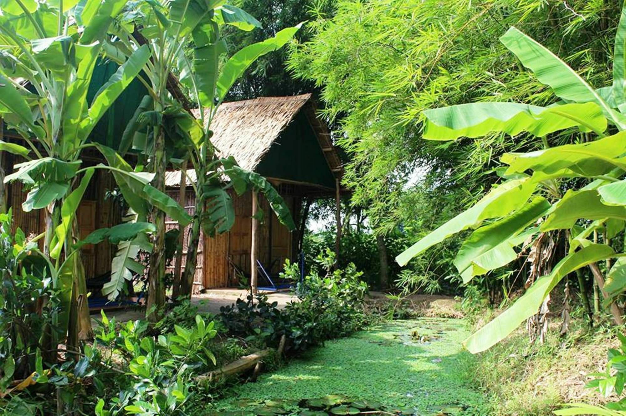 Green Village 1 芹苴 外观 照片